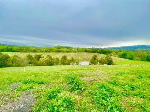 461 Herb Way, Newport, TN 37821