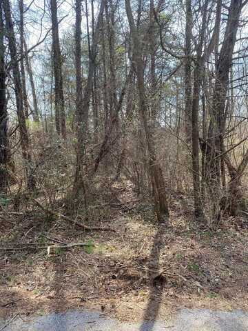 1057 Palisades Court, Burnside, KY 41519