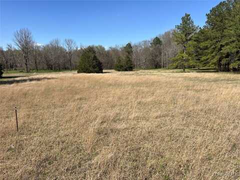 Barganier Road, Cecil, AL 36013