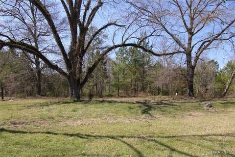 Toles Road unit: Parcel 2, Grady, AL 36036