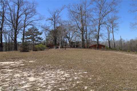 118 Widgeon Lane, Grady, AL 36036