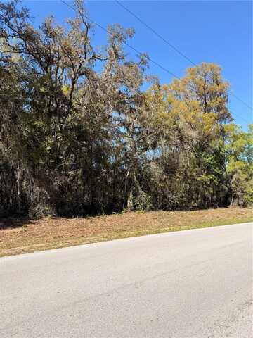 LOCUST RUN, OCALA, FL 34472