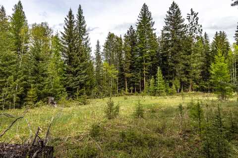 37 Soaring Eagle Trail, Fortine, MT 59918