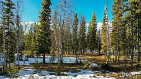 37 Soaring Eagle Trail, Fortine, MT 59918