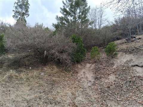 29602 Hook Creek Road, Cedar Glen, CA 92321