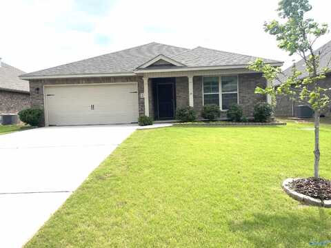 259 Willow Bank Circle, Decatur, AL 35603