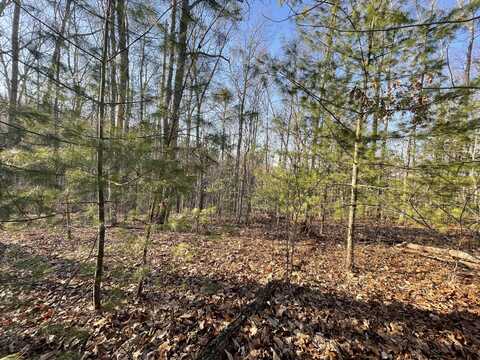 20ac Cooper Hollow Road, Tellico Plains, TN 37385