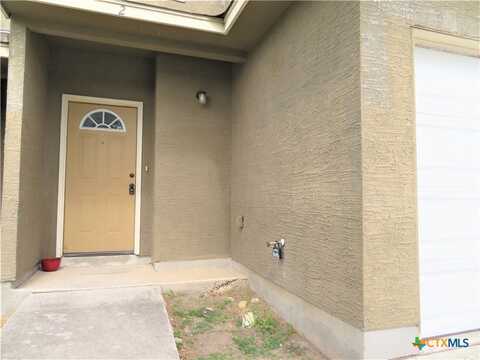 14107 Veneto Drive, San Antonio, TX 78233