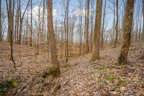 3944 Crawford, Silver Point, TN 38582