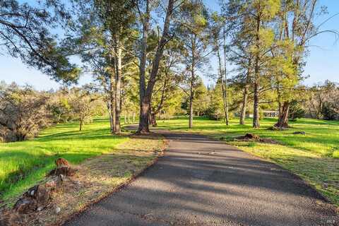 3651 Bones Road, Sebastopol, CA 95472