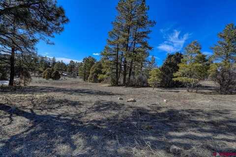 829 Buttress Avenue, Pagosa Springs, CO 81147