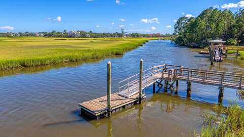 524 Amalie Farms Drive, Charleston, SC 29492