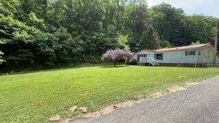 123 Spring Br Rd, Hatfield, KY 41514
