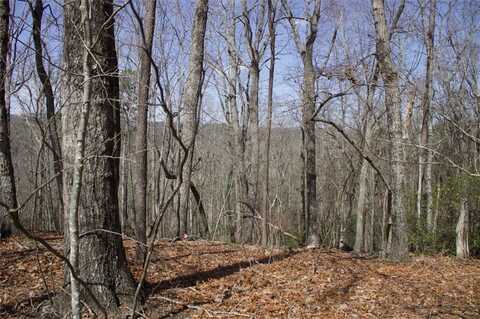 0 TANAGER Trail, Alto, GA 30510