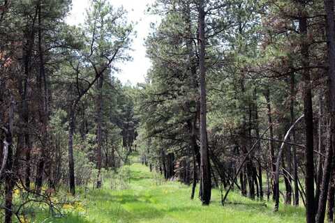 nhn Deer Lane unit: Eh-13, Roundup, MT 59072
