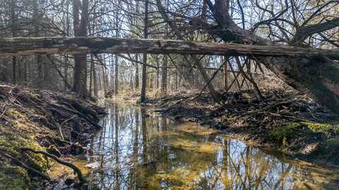 000 County Road 2410, Mountain View, MO 65548