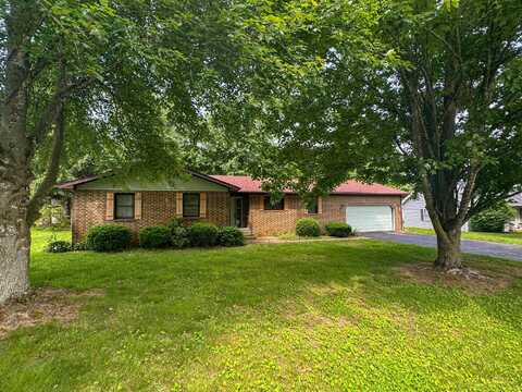 1203 N Hubbard Street, Mountain Grove, MO 65711