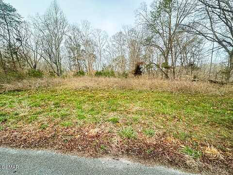 Mountain View Lane lot: 1102, Baneberry, TN 37890