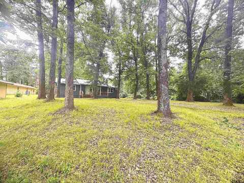 281 Lake Drive, Mount Vernon, TX 75457