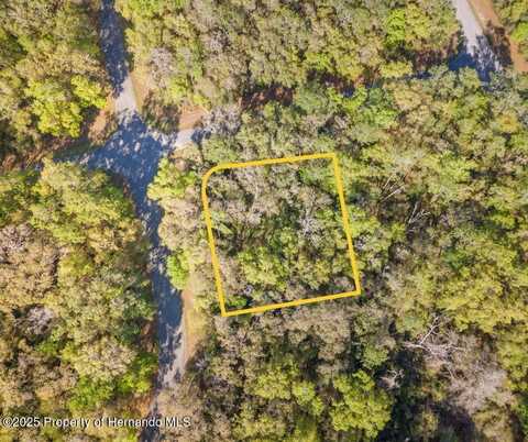 612 W Virginis Drive, Citrus Springs, FL 34434