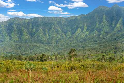 2818 KAMOOKOA RD unit: 5, Kilauea, HI 96722