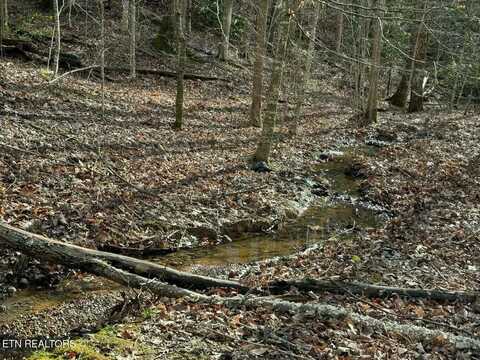 714 Pinnacle Vista Road, Gatlinburg, TN 37738