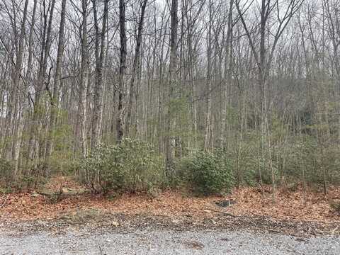 Highway 217 lot: 12, Middlesboro, KY 40965