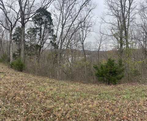 Cumberland Shores lot: 59, Monticello, KY 42633
