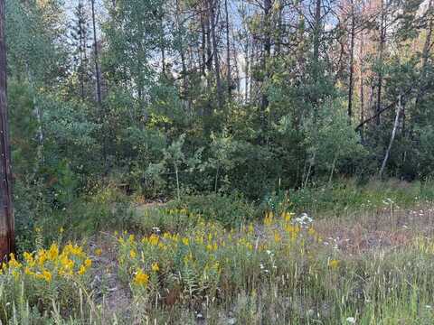 200 Angus Lane, Donnelly, ID 83615