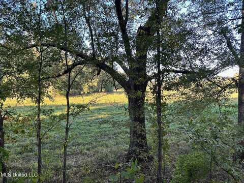 Lot C Swamp Road, Carthage, MS 39051