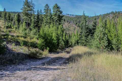 NHN W Fork Combest Creek Road, Plains, MT 59859
