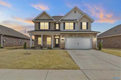 114 Bella May Lane, New Market, AL 35761