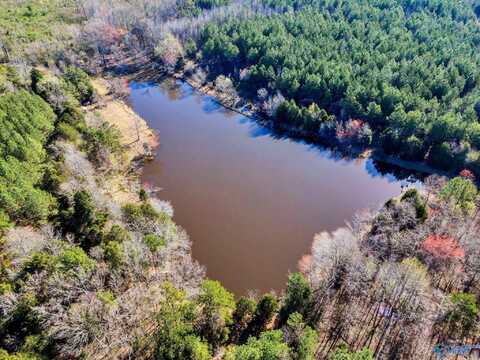 10354 Hwy 101, Town Creek, AL 35672