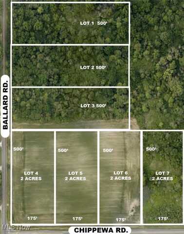 Lot #3 Ballash Road, Chippewa Lake, OH 44215