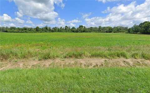 Lot #4 Chippewa Road, Chippewa Lake, OH 44215