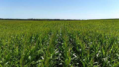 TBD Bare Land 110th St, Fredericksburg, IA 50630