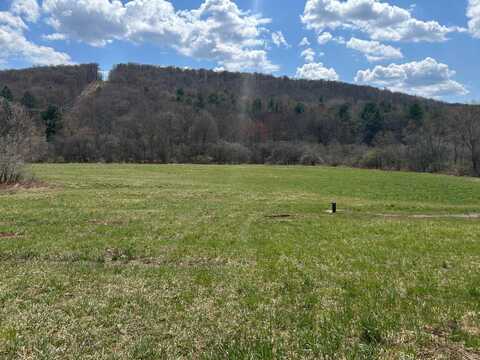 0 Houghtaling Hollow Rd, Meredth, NY 13757
