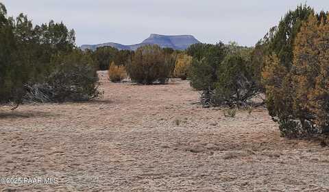 Lot 1320 Skedaddle Trail, Seligman, AZ 86337