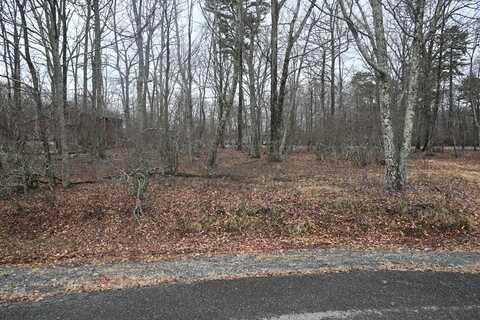 Oakenshield Drive, Tamiment, PA 18371