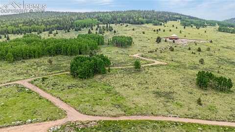 306 Troy Way, Cripple Creek, CO 80813