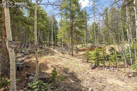 714 Will Stutley Drive, Divide, CO 80814