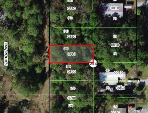 3193 S Kings Avenue, Homosassa, FL 34448
