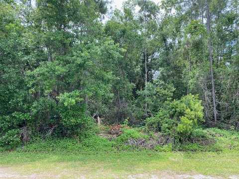 Lot 5 Blk 274 Allamanda Drive, Indian Lake Estates, FL 33855