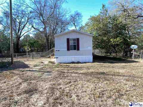 24 Larkin St, Sumter, SC 29150