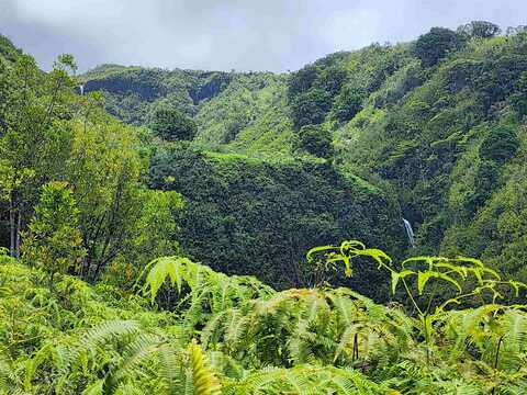 Hana Hwy, Hana, HI 96713