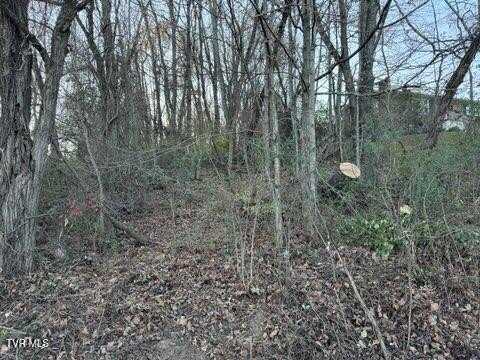 Briscoe Drive, Bristol, VA 24202