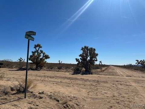 Kit Carson, Yucca, AZ 86438