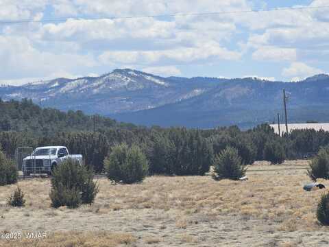 12 N 3132, Vernon, AZ 85940