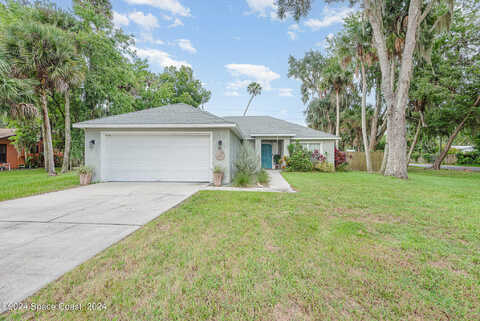 Needle Palm, EDGEWATER, FL 32141