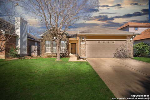 Burgundy, SAN ANTONIO, TX 78217